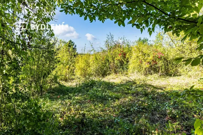 Prodej pozemku pro bydlení, Střemy, 858 m2