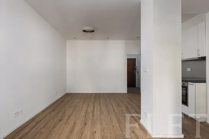 Pronájem bytu 1+kk, Praha - Žižkov, Biskupcova, 38 m2