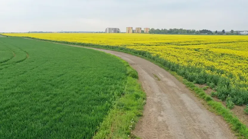 Prodej pole, Klecany, V Honech, 5953 m2