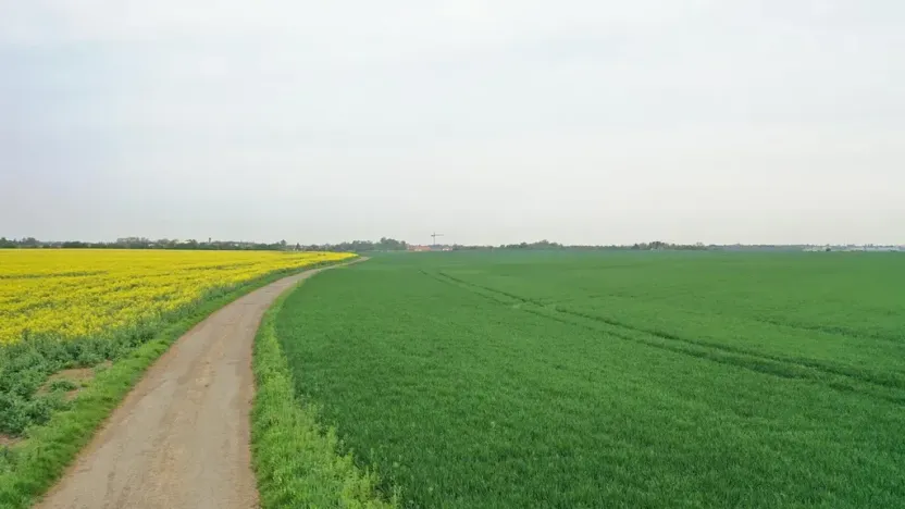 Prodej pole, Klecany, V Honech, 5953 m2