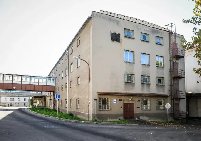 Pronájem výrobních prostor, Hodonín, Bratislavská, 2800 m2