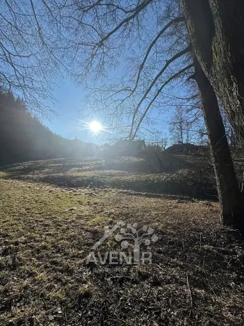 Prodej louky, Bozkov, 5815 m2