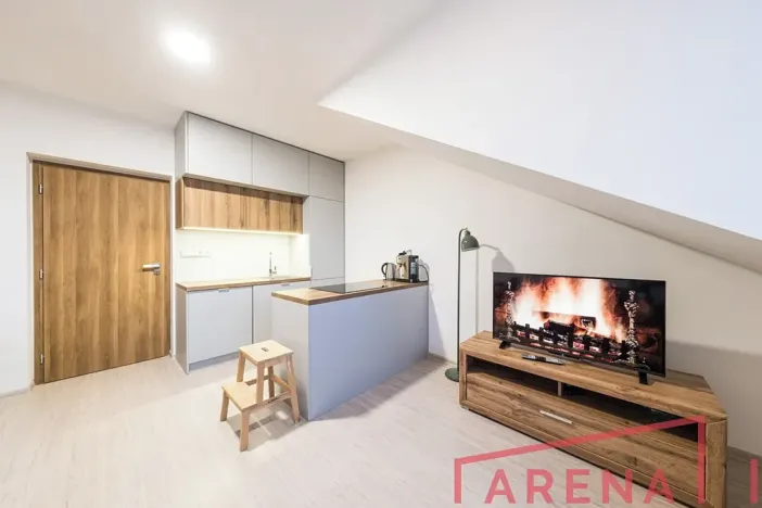 Prodej bytu 2+kk, Brno, Letní, 48 m2