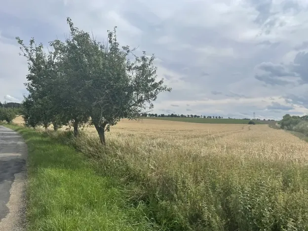 Prodej podílu pozemku, Krásněves, 12458 m2