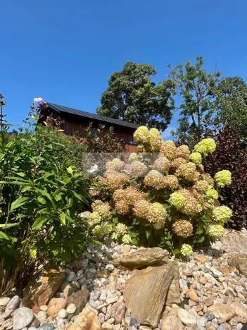 Prodej apartmánu, Paseky nad Jizerou, 345 m2