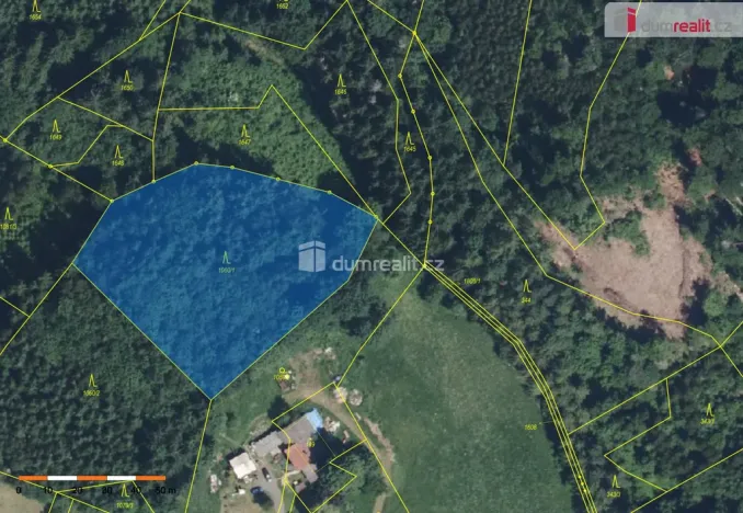 Prodej lesa, Semily - Bítouchov, 4773 m2