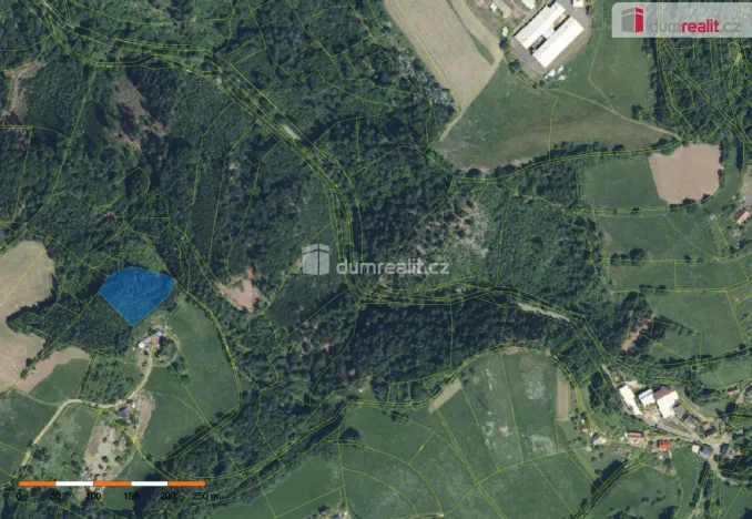 Prodej lesa, Semily - Bítouchov, 4773 m2