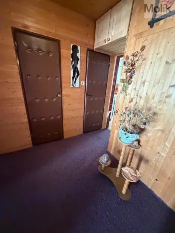 Prodej bytu 3+1, Most, Josefa Ševčíka, 68 m2