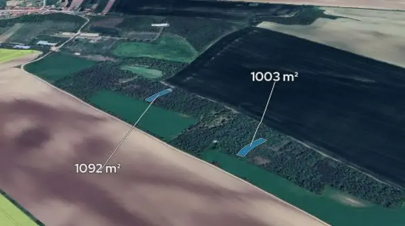 Prodej podílu lesa, Morašice, 698 m2