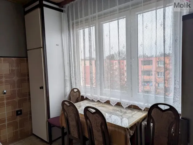 Prodej bytu 2+1, Bílina - Teplické Předměstí, M. Švabinského, 55 m2