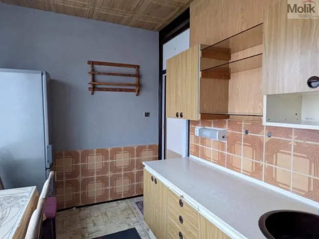 Prodej bytu 2+1, Bílina - Teplické Předměstí, M. Švabinského, 55 m2