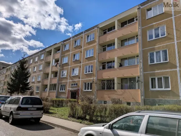 Prodej bytu 2+1, Bílina - Teplické Předměstí, M. Švabinského, 55 m2