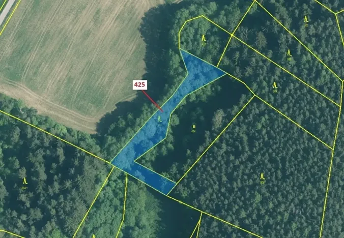 Dražba lesa, Kuřimany, 1719 m2