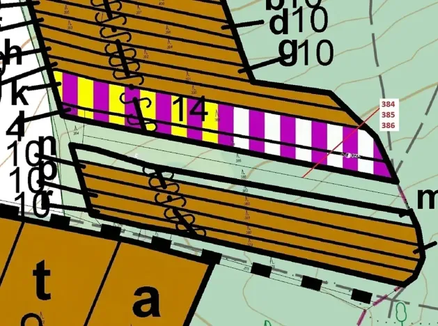 Dražba lesa, Hradčany-Kobeřice, 3483 m2