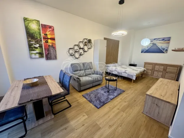 Pronájem bytu 1+kk, Praha - Žižkov, Malešická, 42 m2