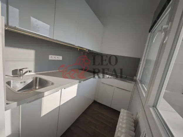 Pronájem bytu 1+kk, Praha - Podolí, Kaplická, 33 m2