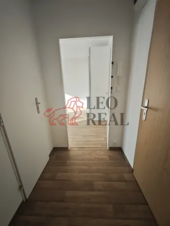 Pronájem bytu 1+kk, Praha - Podolí, Kaplická, 33 m2