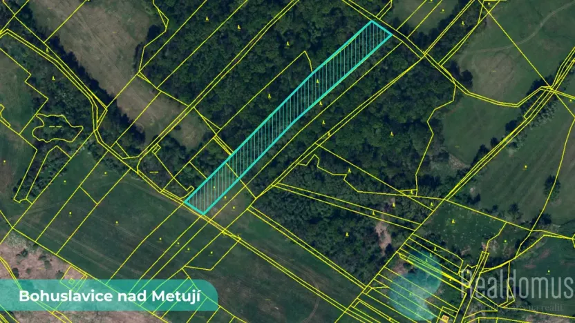 Prodej pole, Bohuslavice, 43749 m2