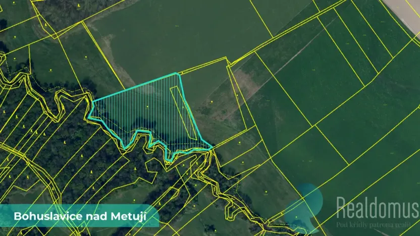 Prodej pole, Bohuslavice, 43749 m2