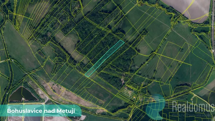 Prodej pole, Bohuslavice, 43749 m2