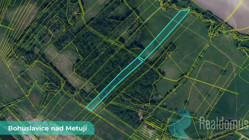 Prodej pole, Bohuslavice, 43749 m2