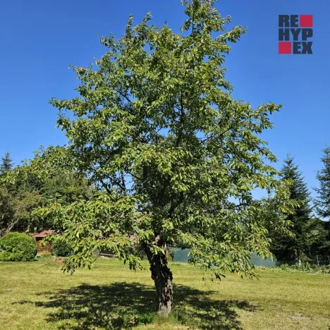 Pronájem zahrady, Turnov, Zámecká, 1962 m2