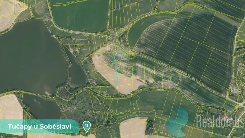 Prodej podílu 1/8 louky, Tučapy, 11561 m2