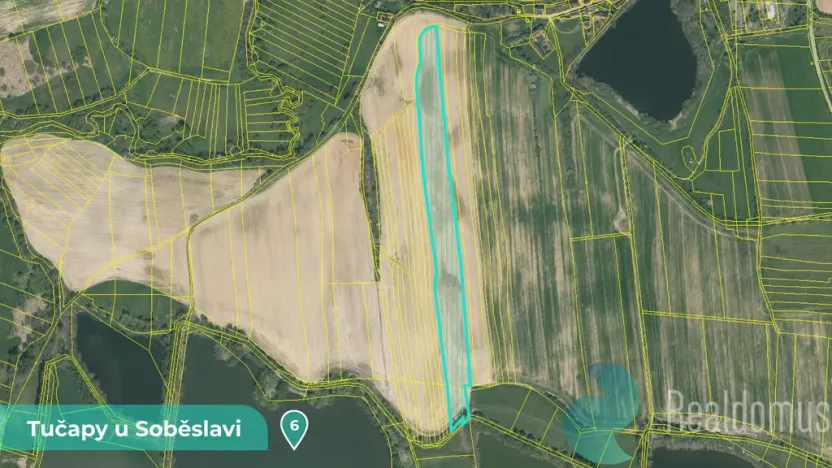 Prodej podílu 1/8 louky, Tučapy, 11561 m2