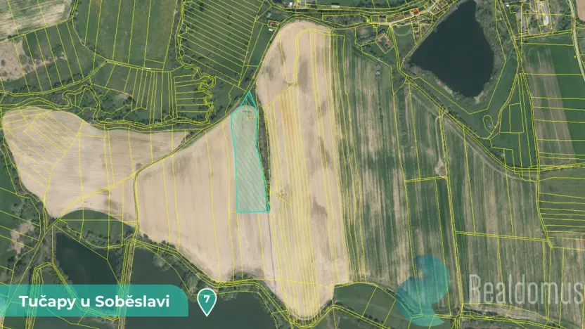 Prodej podílu 1/8 louky, Tučapy, 11561 m2