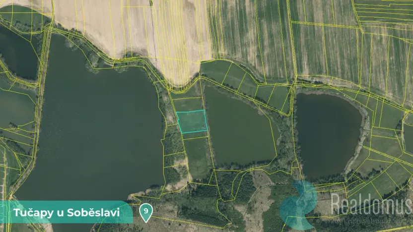 Prodej podílu 1/8 louky, Tučapy, 11561 m2