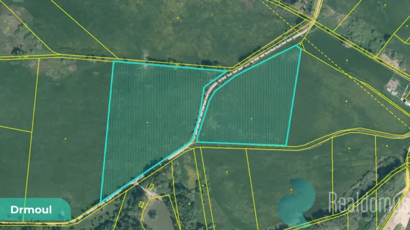 Prodej podílu 1/4 louky, Drmoul, 12559 m2