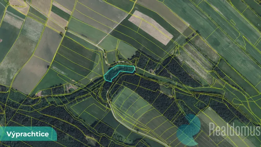 Prodej louky, Výprachtice, 6838 m2
