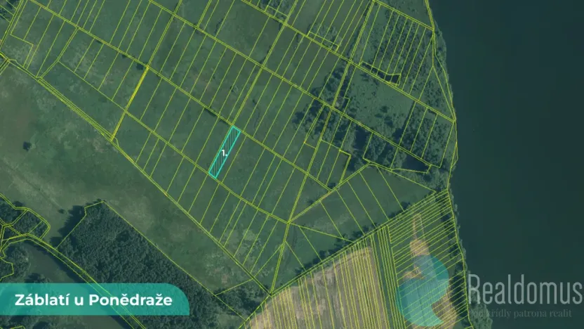Prodej podílu 1/2 pole, Záblatí, 4195 m2