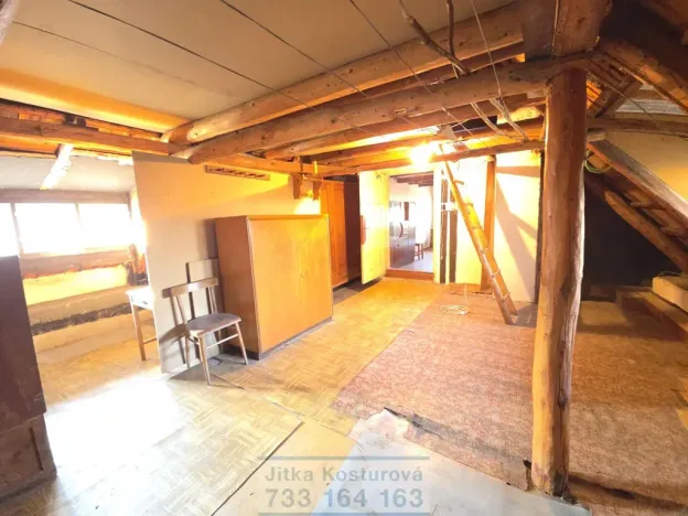 Prodej chalupy, Býkov-Láryšov - Láryšov, 200 m2