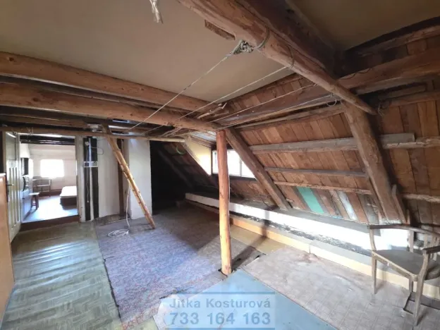 Prodej chalupy, Býkov-Láryšov - Láryšov, 200 m2