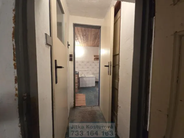 Prodej chalupy, Býkov-Láryšov - Láryšov, 200 m2