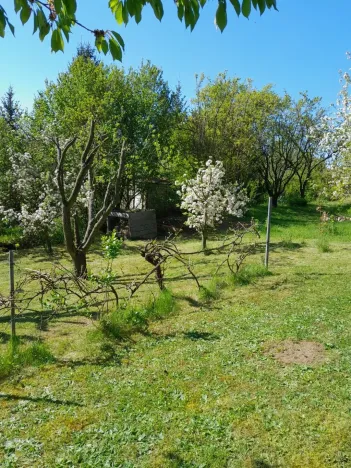 Pronájem zahrady, Běloky, 376 m2