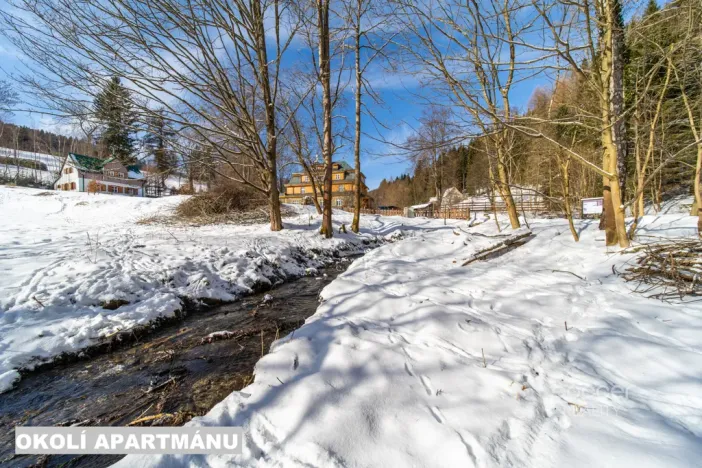 Prodej bytu 1+kk, Žacléř - Prkenný Důl, 37 m2