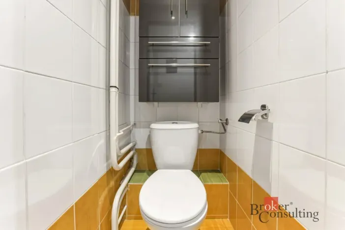 Prodej bytu 3+1, Hradec Králové - Pražské Předměstí, Gebauerova, 55 m2