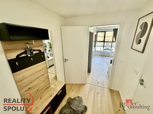 Pronájem bytu 1+kk, Brno - Zábrdovice, Bratislavská, 24 m2