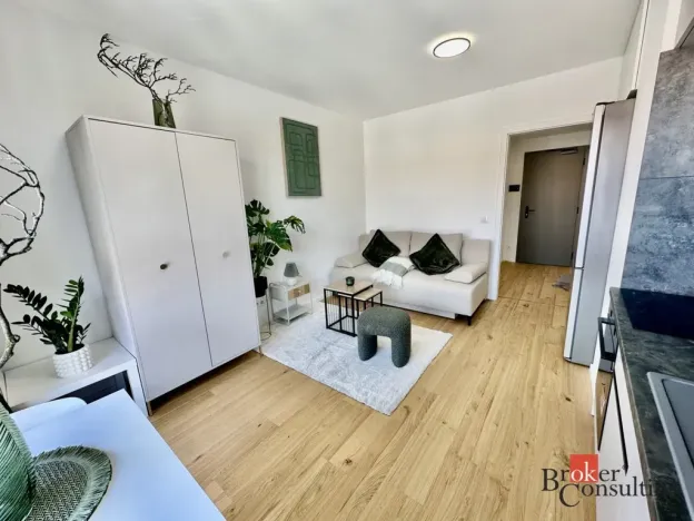 Pronájem bytu 1+kk, Brno - Zábrdovice, Bratislavská, 24 m2