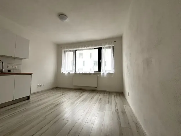 Pronájem bytu 1+kk, Plzeň - Východní Předměstí, Papírnická, 29 m2