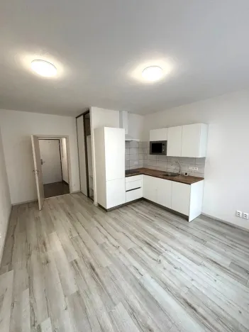 Pronájem bytu 1+kk, Plzeň - Východní Předměstí, Papírnická, 29 m2