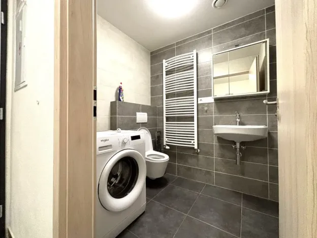 Pronájem bytu 1+kk, Plzeň - Východní Předměstí, Papírnická, 29 m2