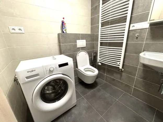 Pronájem bytu 1+kk, Plzeň - Východní Předměstí, Papírnická, 29 m2