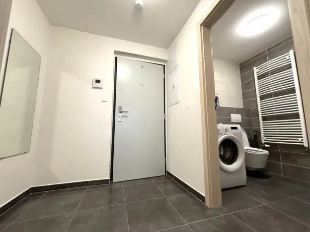 Pronájem bytu 1+kk, Plzeň - Východní Předměstí, Papírnická, 29 m2