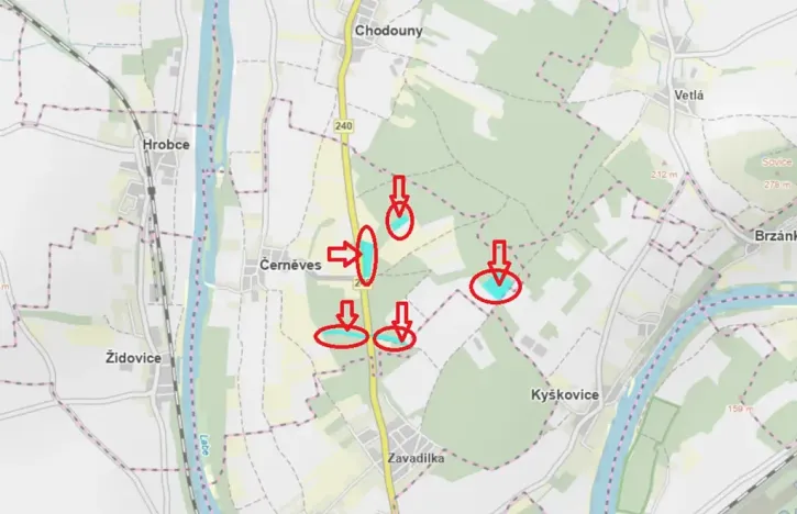 Prodej podílu lesa, Černěves, 9239 m2