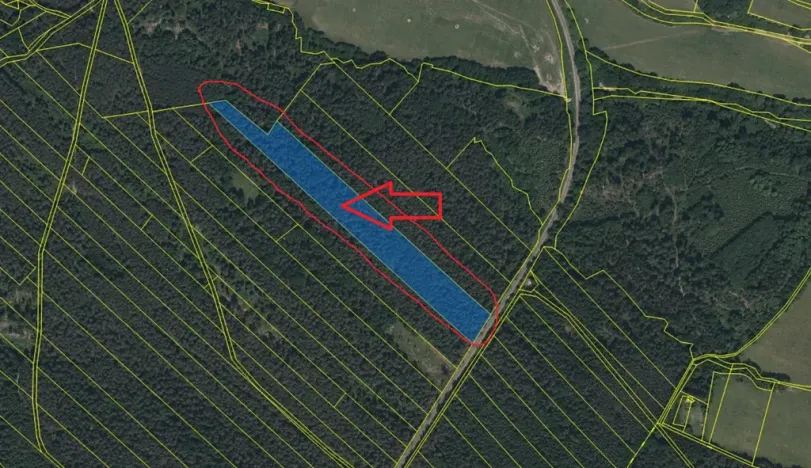 Prodej podílu lesa, Ledenice, 2894 m2