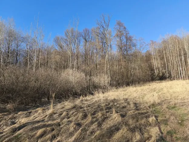 Prodej louky, Vápenná, 2625 m2