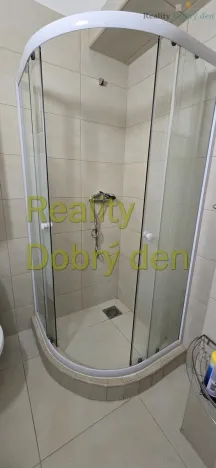 Pronájem bytu 1+1, Opava, Mánesova, 42 m2